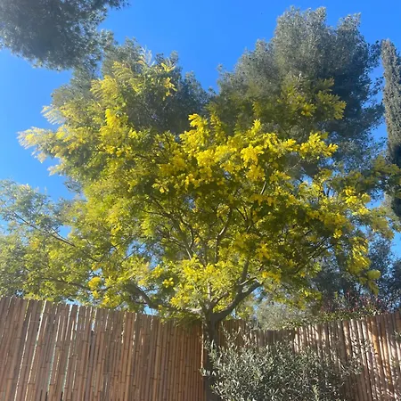 Nature Proche شاليه لا سيوتا