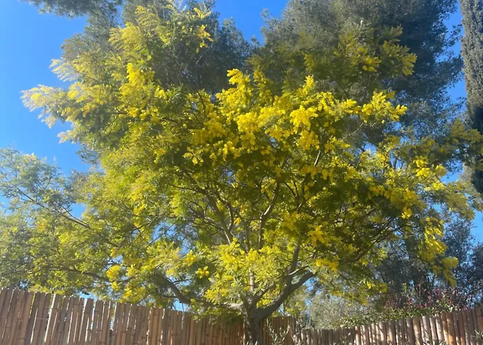 Nature Proche شاليه لا سيوتا